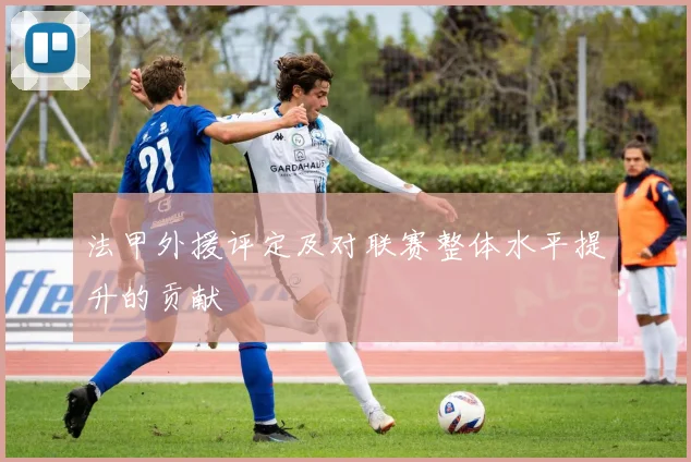 法甲外援评定及对联赛整体水平提升的贡献