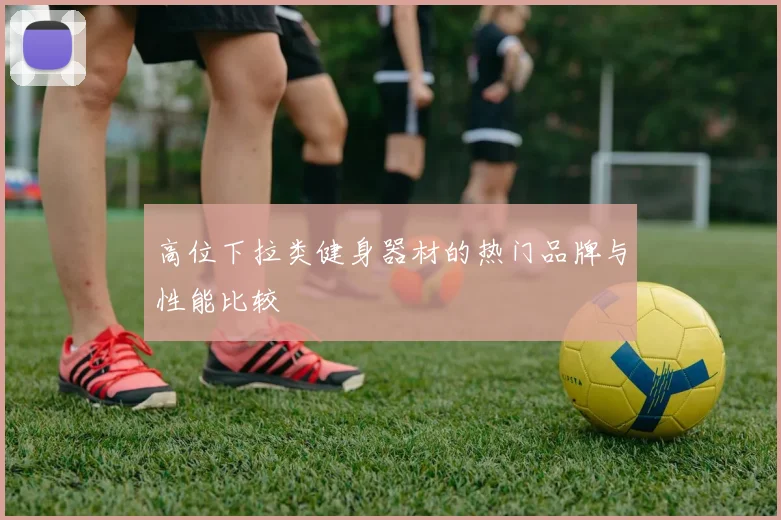 高位下拉类健身器材的热门品牌与性能比较