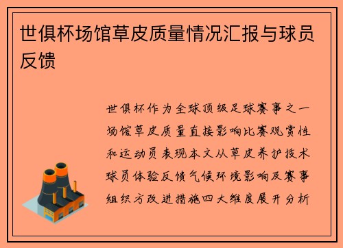 世俱杯场馆草皮质量情况汇报与球员反馈